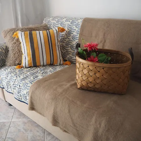 Dimi * PalaiónTsiflíkion